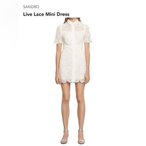 Sandro Live Embroidered-Floral Lace Mini Dress